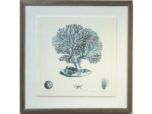 Blue Coral II with Dark Frame 30W x 30H