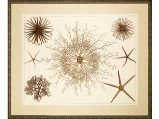Stars of the Sea 40W x 33H