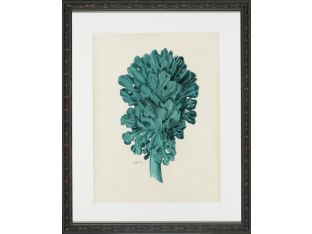 Aqua Coral on Khaki II 18W x 22H