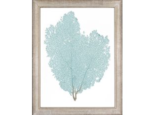 Blue Fan Coral I 13.5W x 17.5H