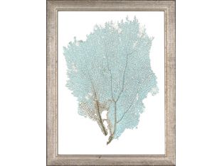 Blue Fan Coral II 13.5W x 17.5H
