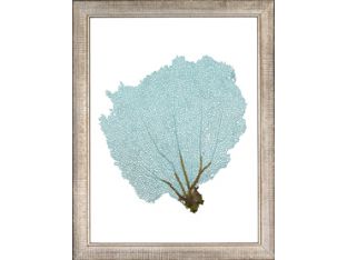 Blue Fan Coral IV 13.5W x 17.5H