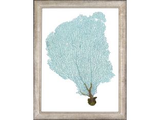 Blue Fan Coral V 13.5W x 17.5H