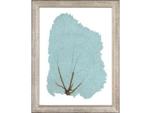 Blue Fan Coral VI 13.5W x 17.5H