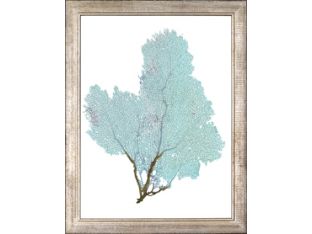 Blue Fan Coral VII 13.5W x 17.5H