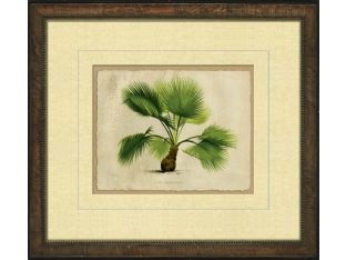 Small Crackled Horizontal Palm IV 17.5W x 15.5H