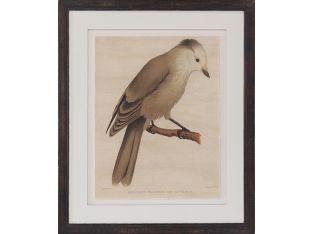 Crackled Ultramarina Bird 22W x 26H